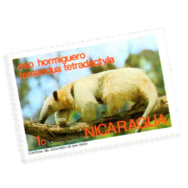 1974 - 1 Centavo Southern Tamandua (Tamandua Tetradactyla) - Nicarágua NI 1800
