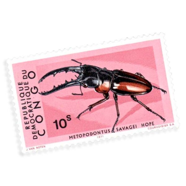 1971 - 10 Sengis African Red Stag Beetle (Metopodontus savagei) - República Democrática do Congo (Zaire) CD 400